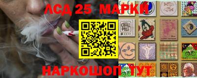 spice Аргун
