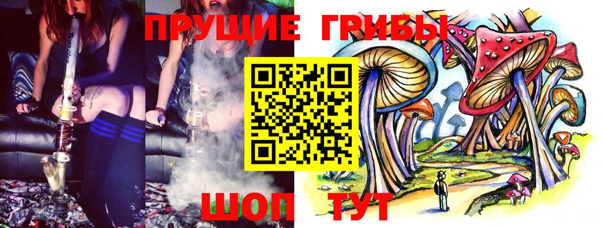 Галлюциногенные грибы Psilocybe  Вход с VPN  Бахчисарай 